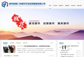 贵定城市开发投资集团有限公司